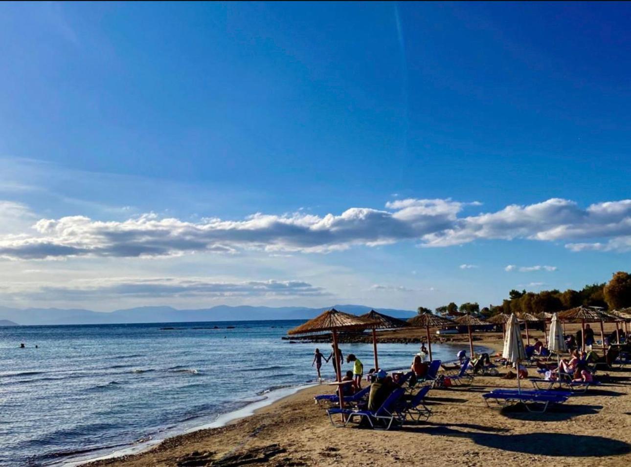 Appartement Vue Sur Mer Soul Family, Egine Aegina Exteriör bild