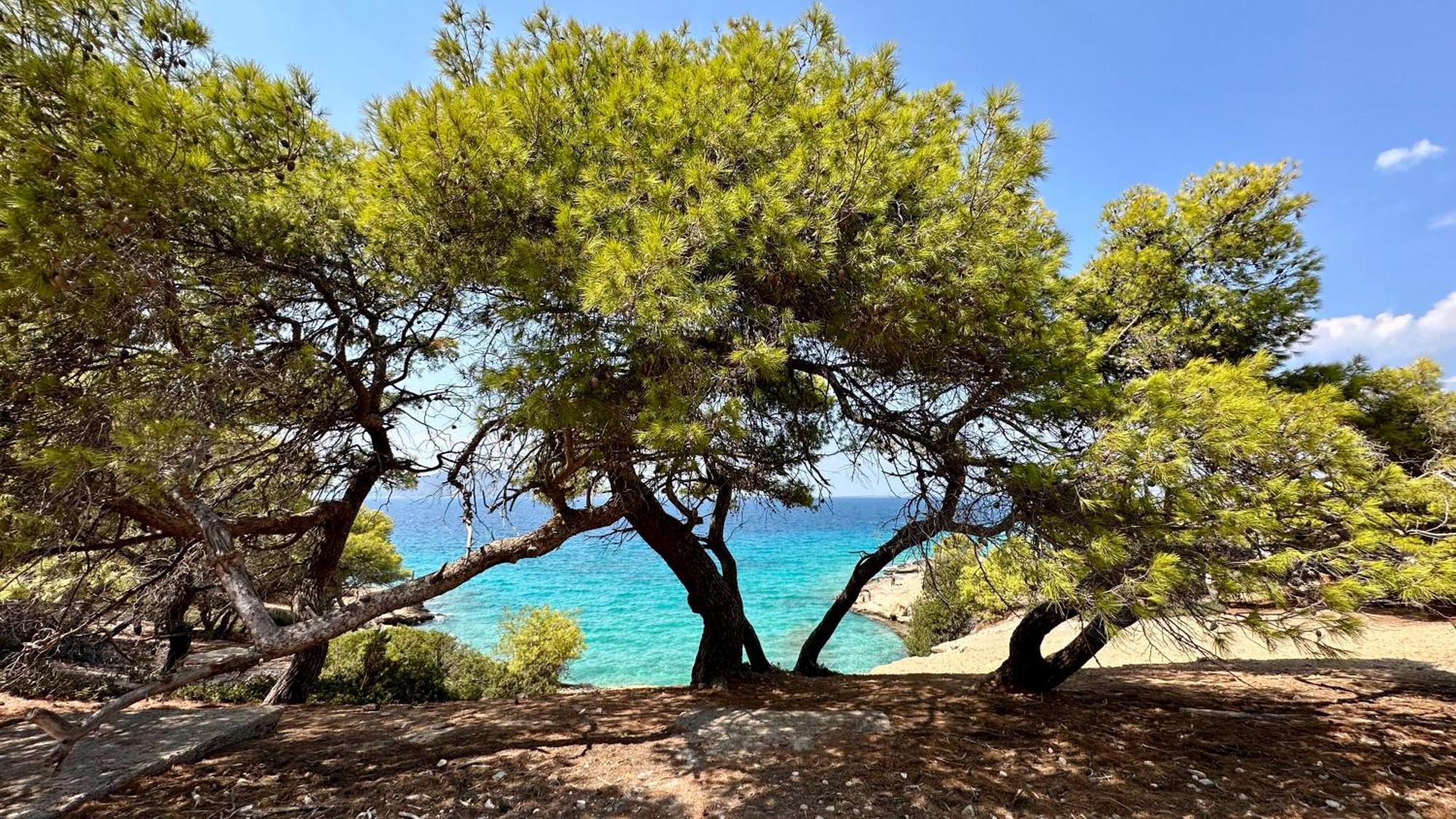 Appartement Vue Sur Mer Soul Family, Egine Aegina Exteriör bild